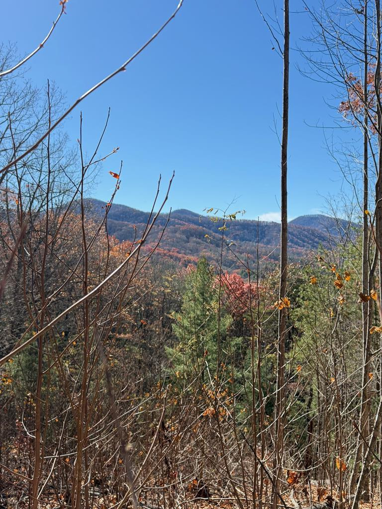 Lot 13 13 View Ridge Trail Property Photo 4