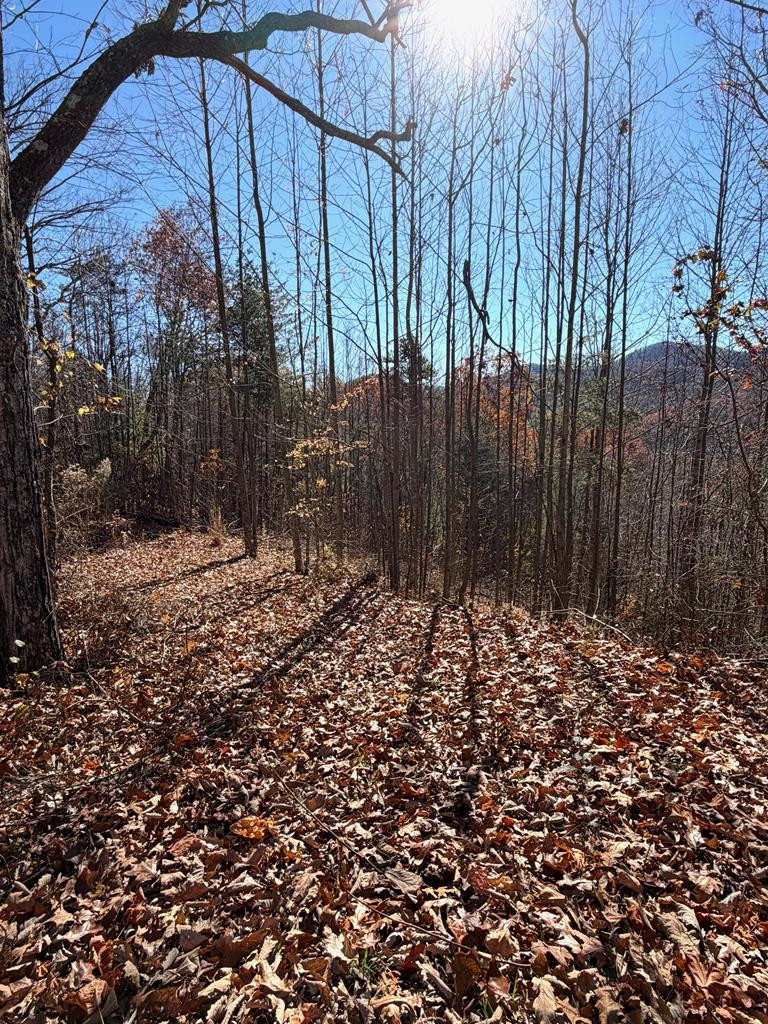 Lot 13 13 View Ridge Trail Property Photo 5