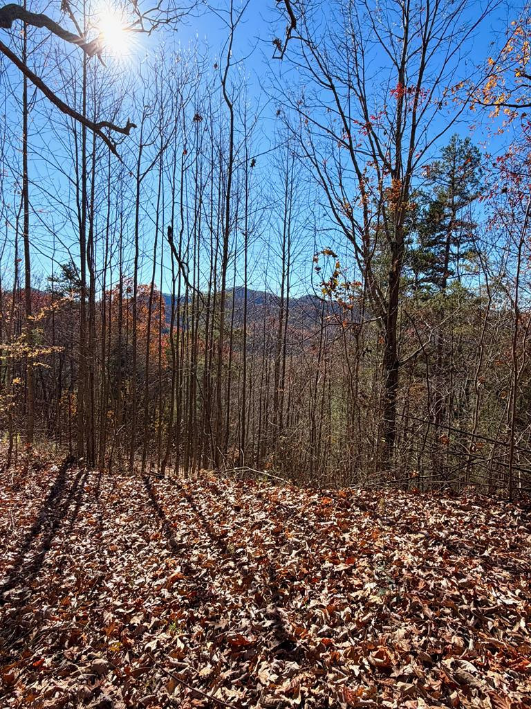 Lot 13 13 View Ridge Trail Property Photo 6