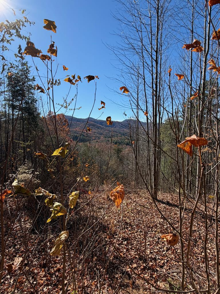 Lot 13 13 View Ridge Trail Property Photo 7