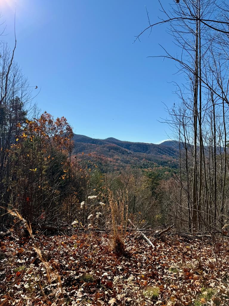 Lot 13 13 View Ridge Trail Property Photo 8