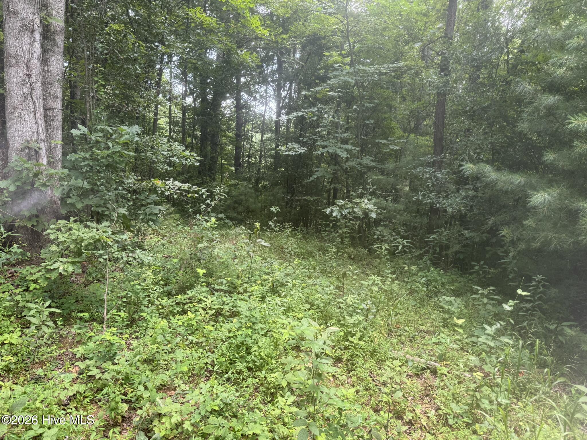 24 Property Photo 2