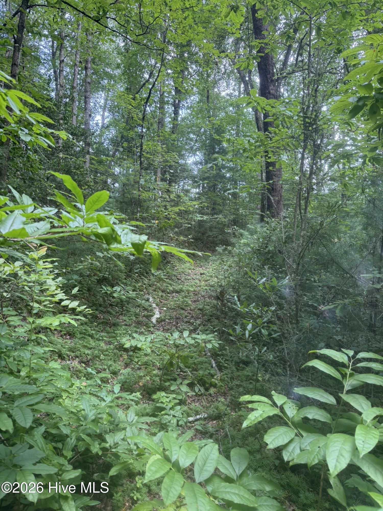 24 Property Photo 24