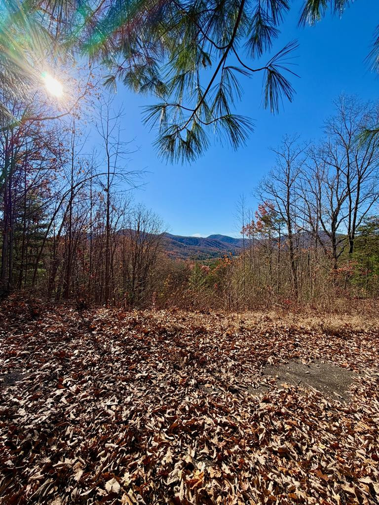 Lot 14 14 View Ridge Trail Property Photo 5