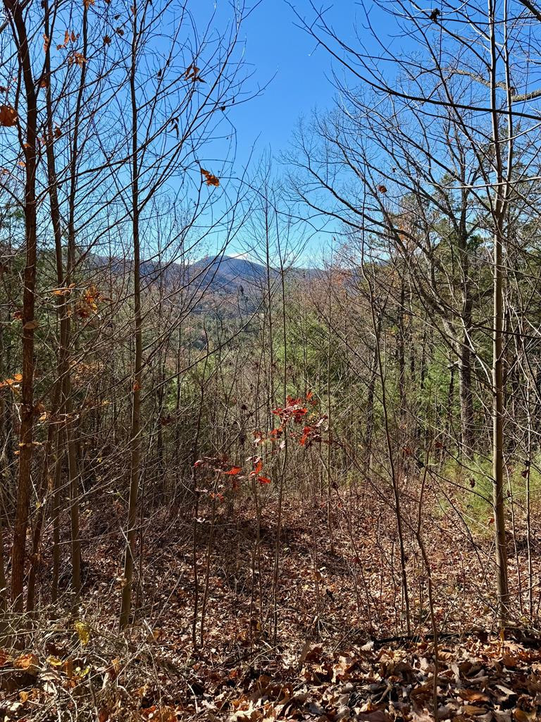 Lot 14 14 View Ridge Trail Property Photo 7
