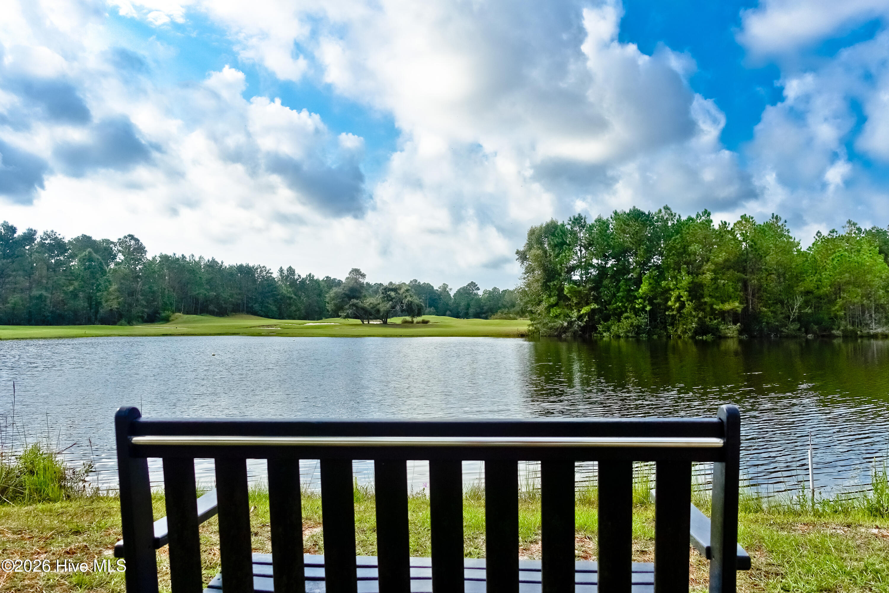 1751 Mute Swan Lane Se Property Photo 41