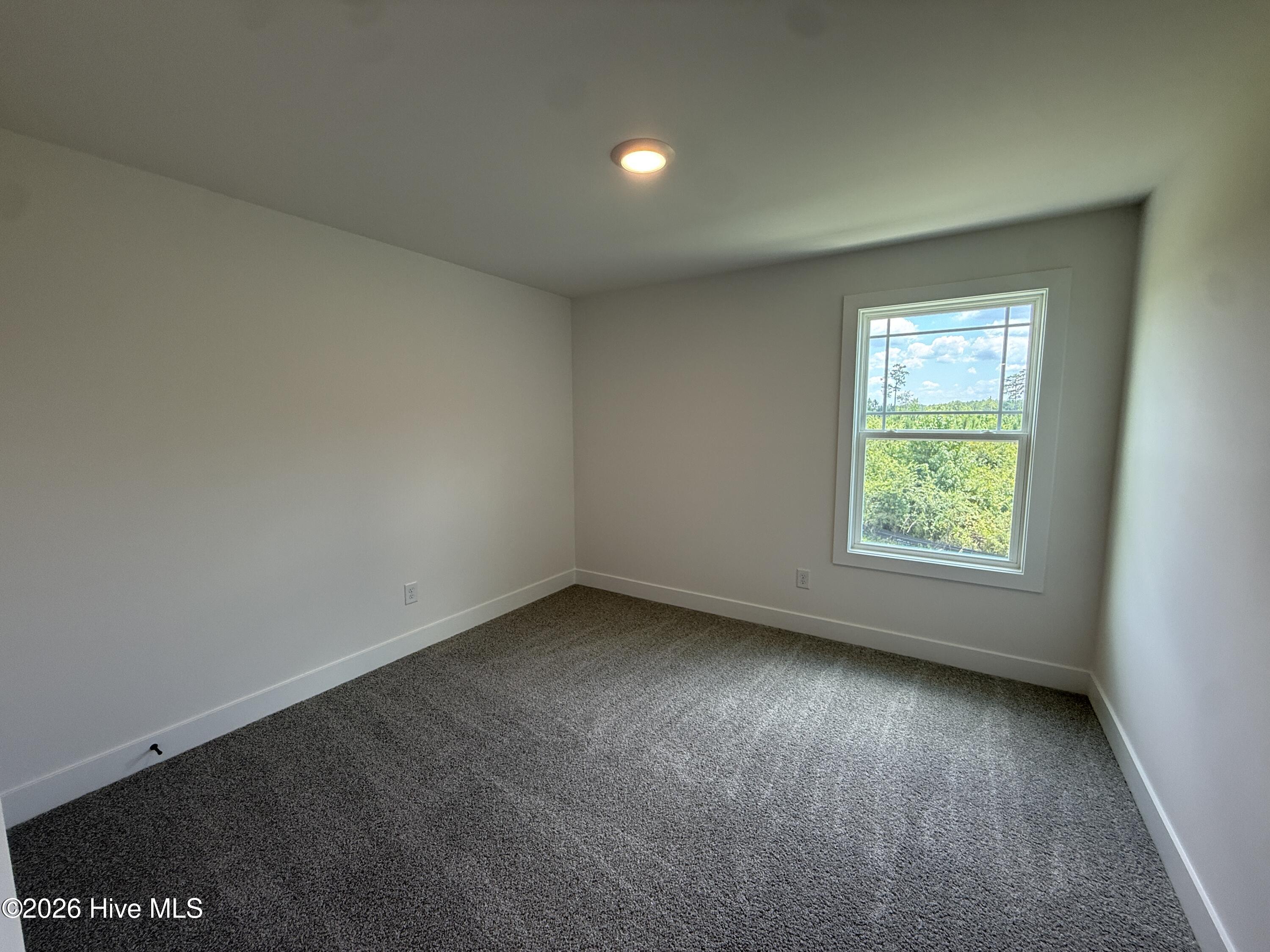 2017 Tharrington Way Property Photo 15