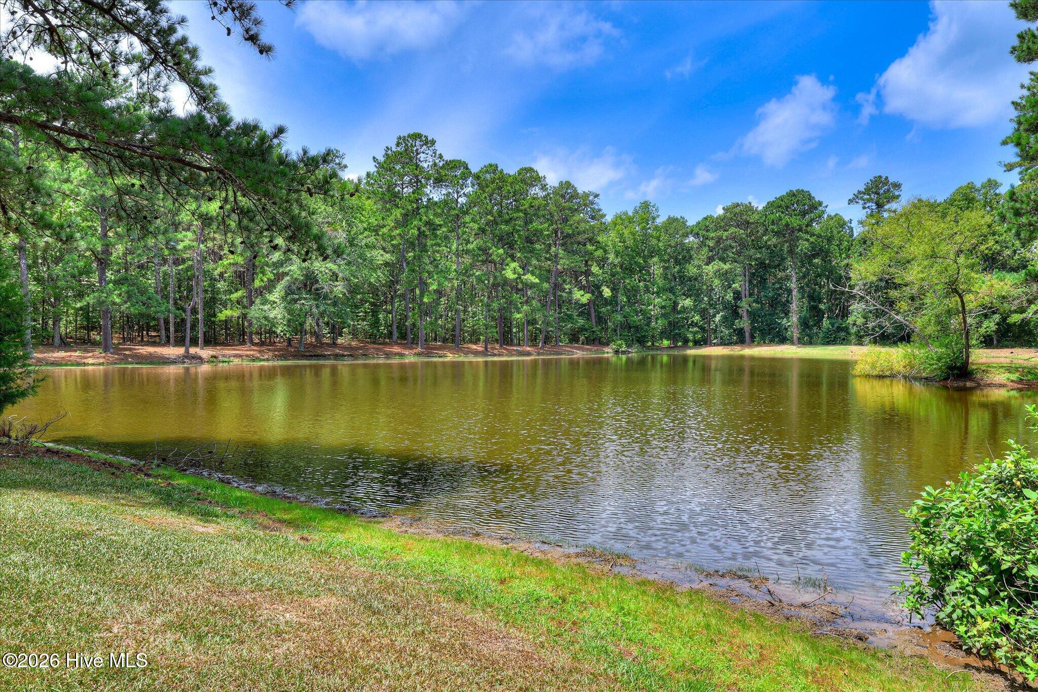 65 Long Cane Road Property Photo 34