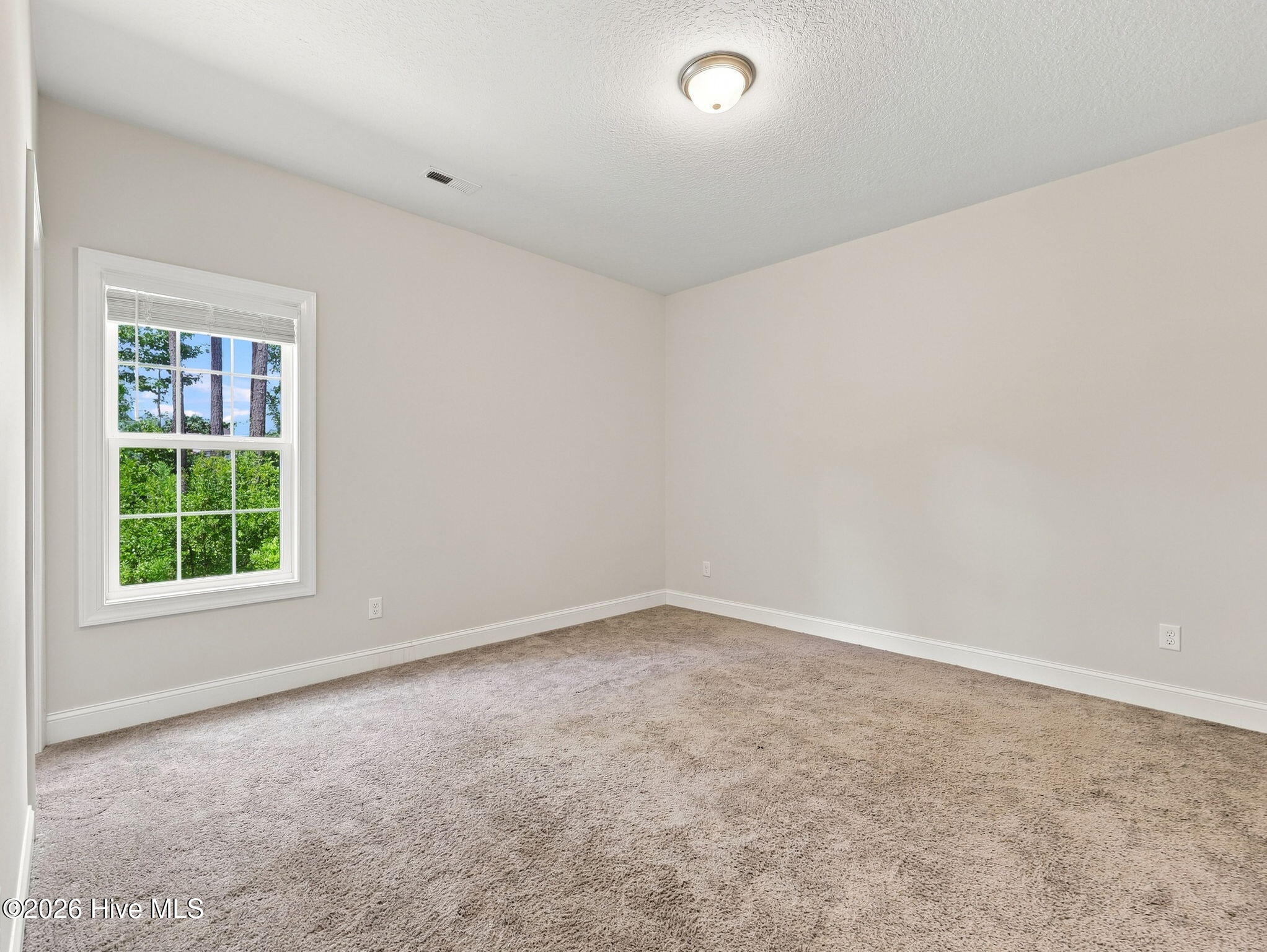 417 Amethyst Court Property Photo 19