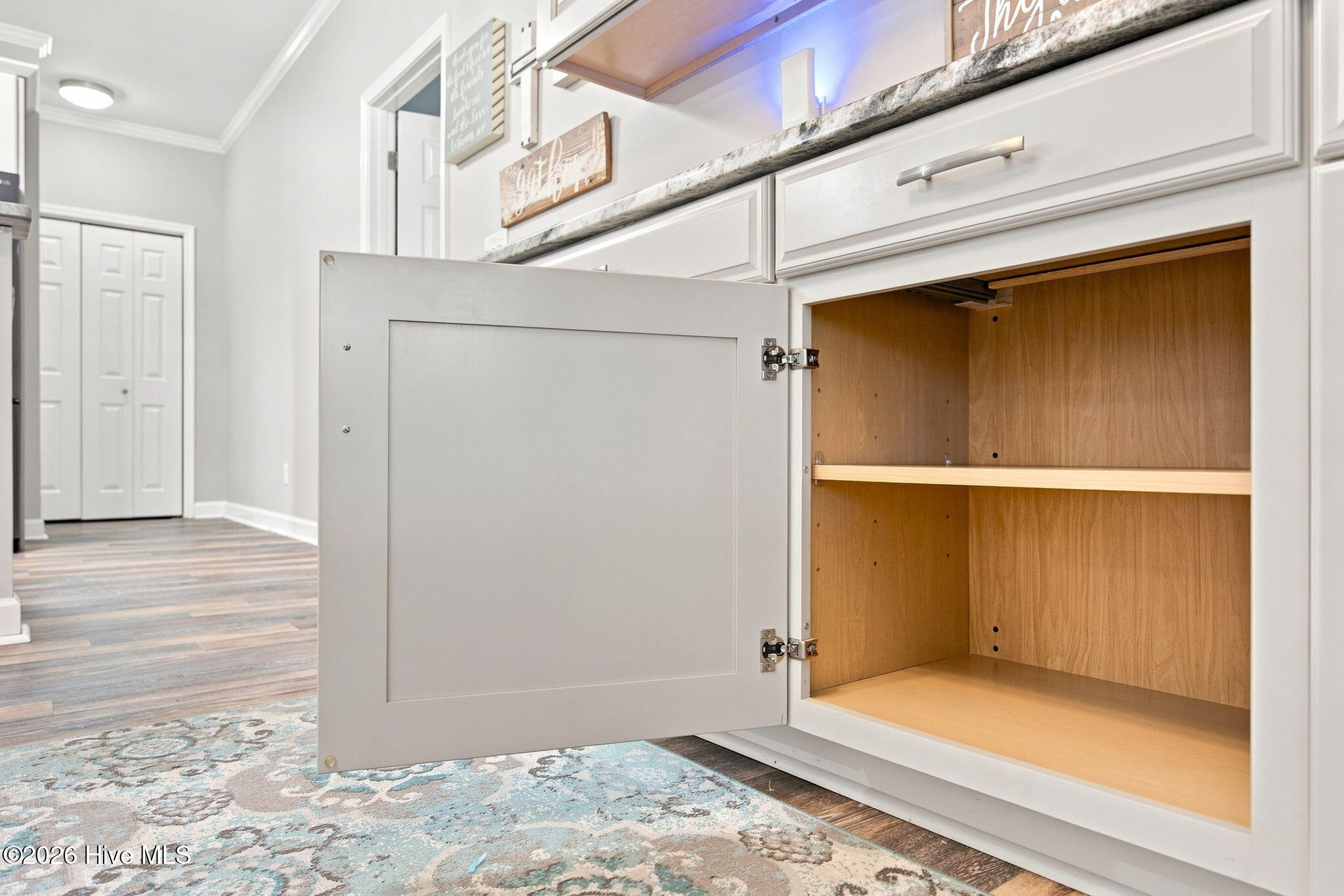 103 Bergman Street Property Photo 18