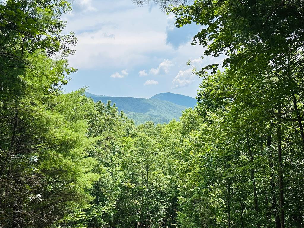 Lot 15 15 View Ridge Trail Property Photo 1