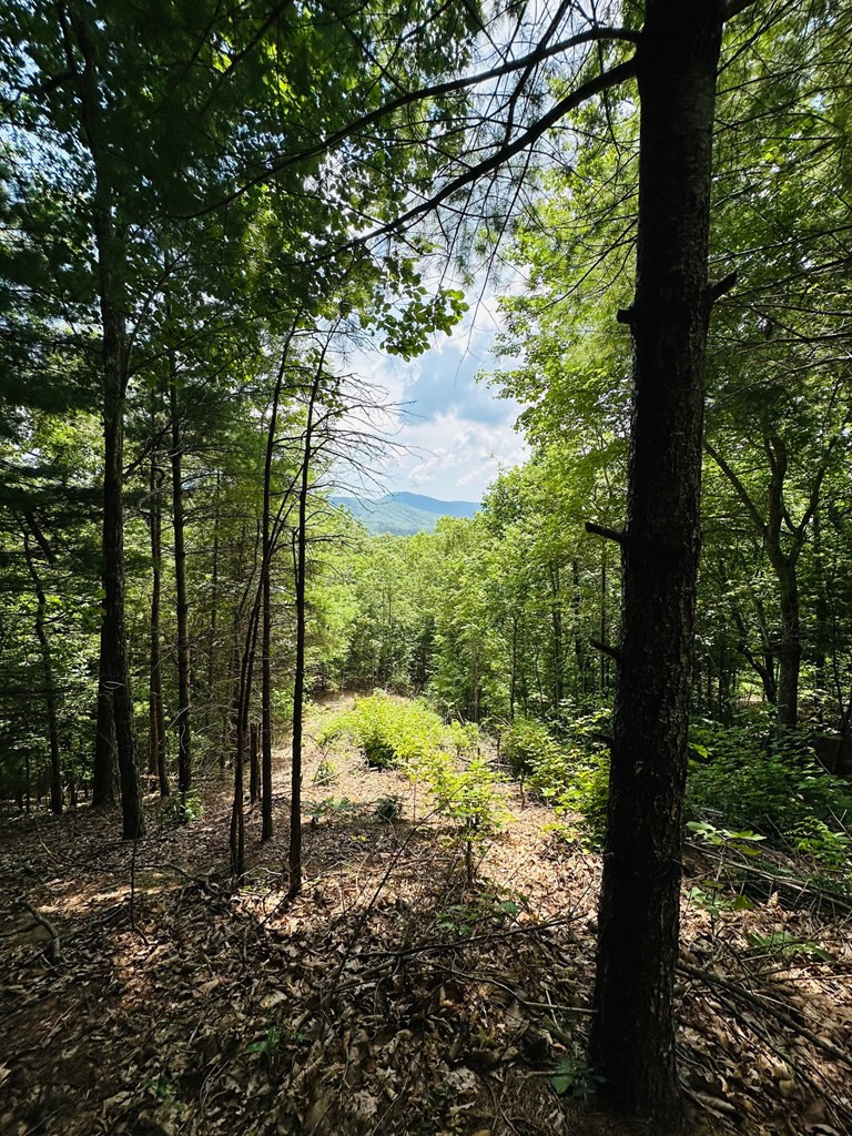 Lot 15 15 View Ridge Trail Property Photo 3