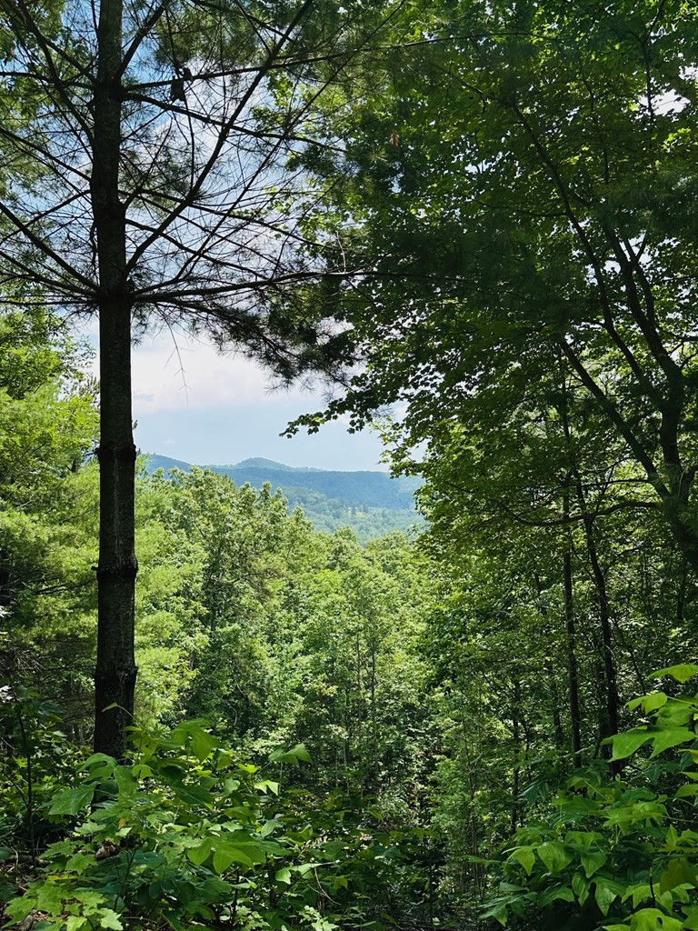 Lot 15 15 View Ridge Trail Property Photo 4