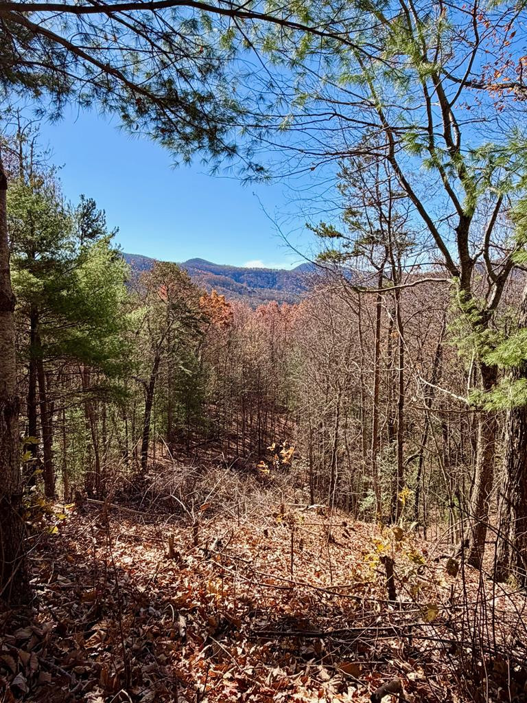 Lot 15 15 View Ridge Trail Property Photo 5