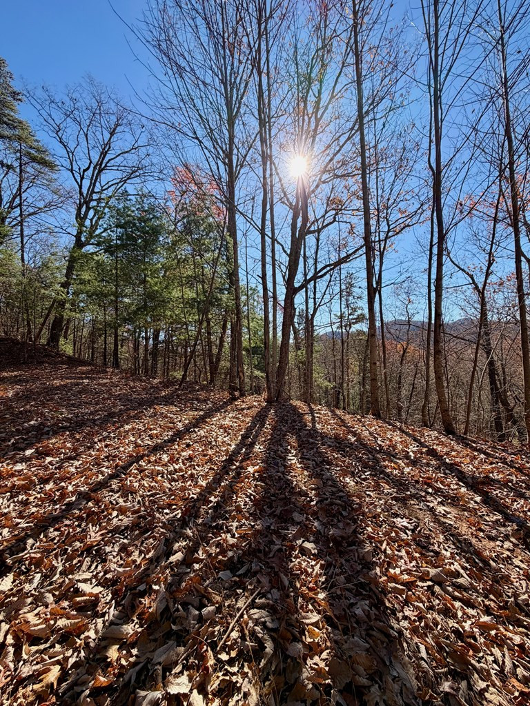 Lot 15 15 View Ridge Trail Property Photo 6