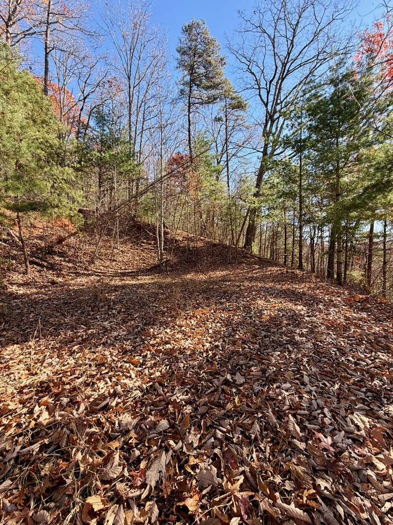 Lot 15 15 View Ridge Trail Property Photo 7
