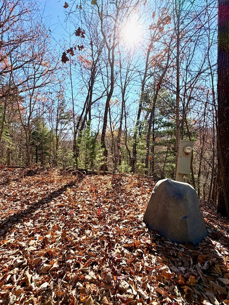 Lot 15 15 View Ridge Trail Property Photo 8