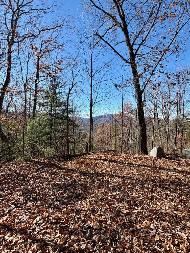 Lot 15 15 View Ridge Trail Property Photo 9