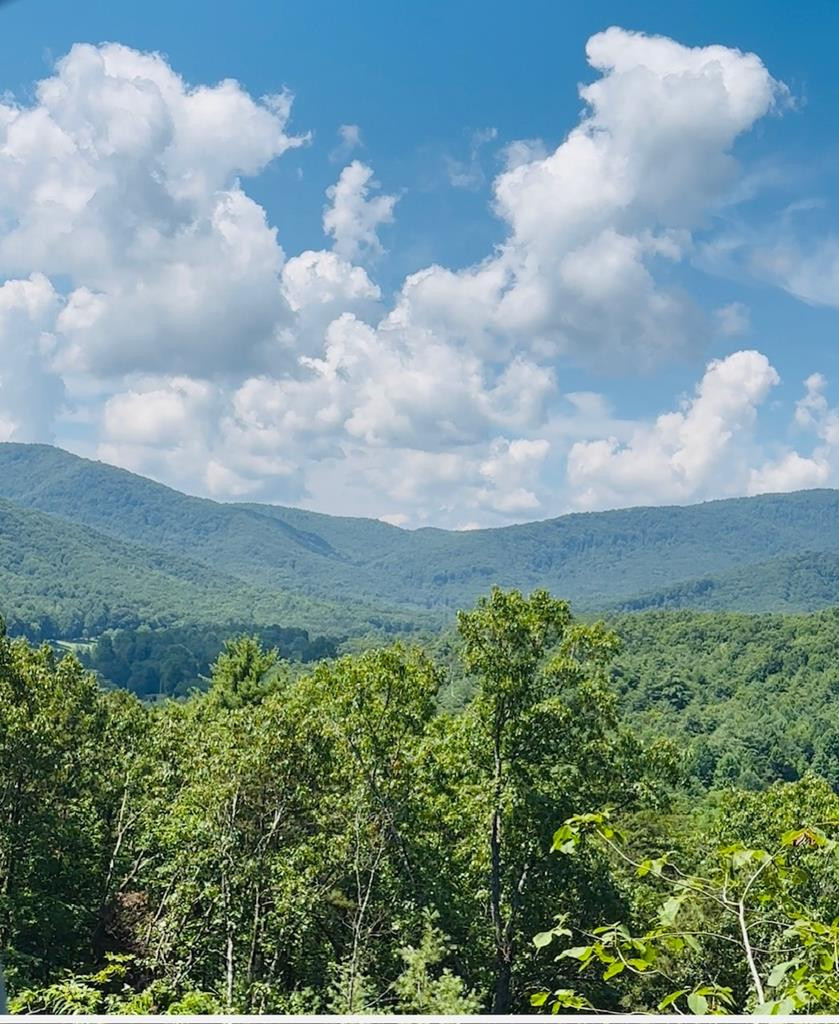 Lot 15 15 View Ridge Trail Property Photo 10