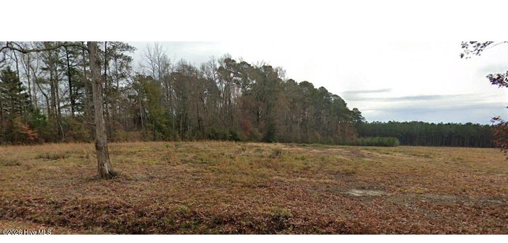 0 Batchelor Road Property Photo 2