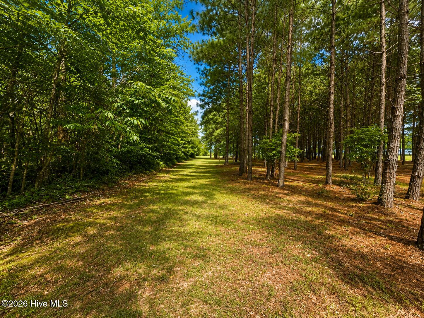 28 Bunn Road Property Photo 4