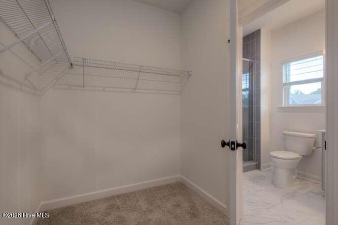 390 Lamer Loop 101 Property Photo 23