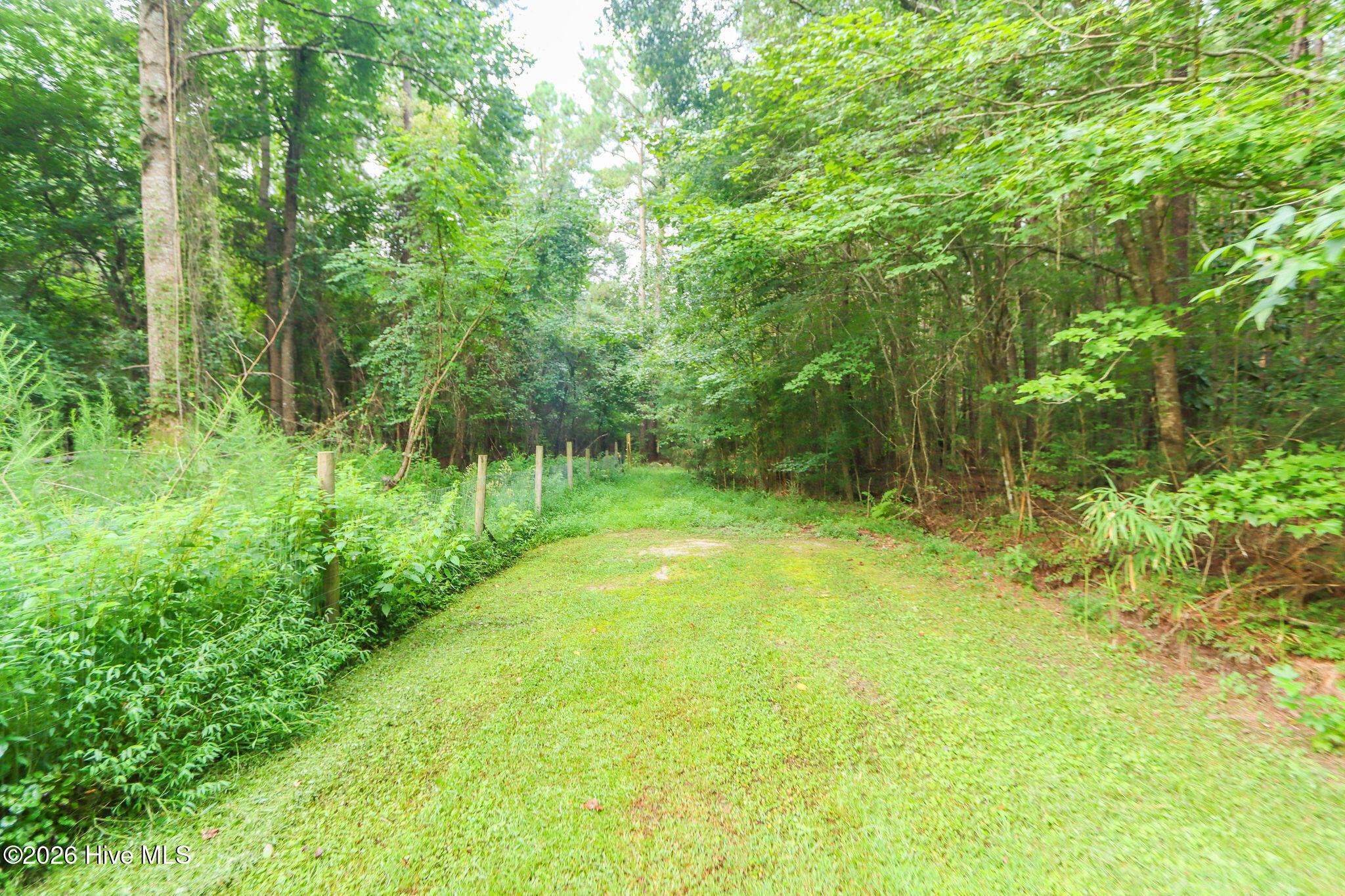 1225 Lynchs Corner Road Property Photo 43