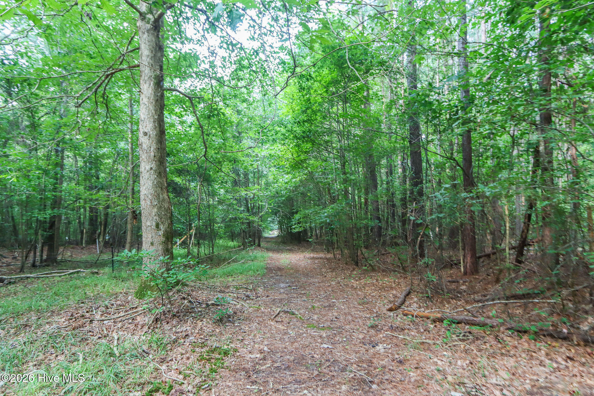 1225 Lynchs Corner Road Property Photo 45