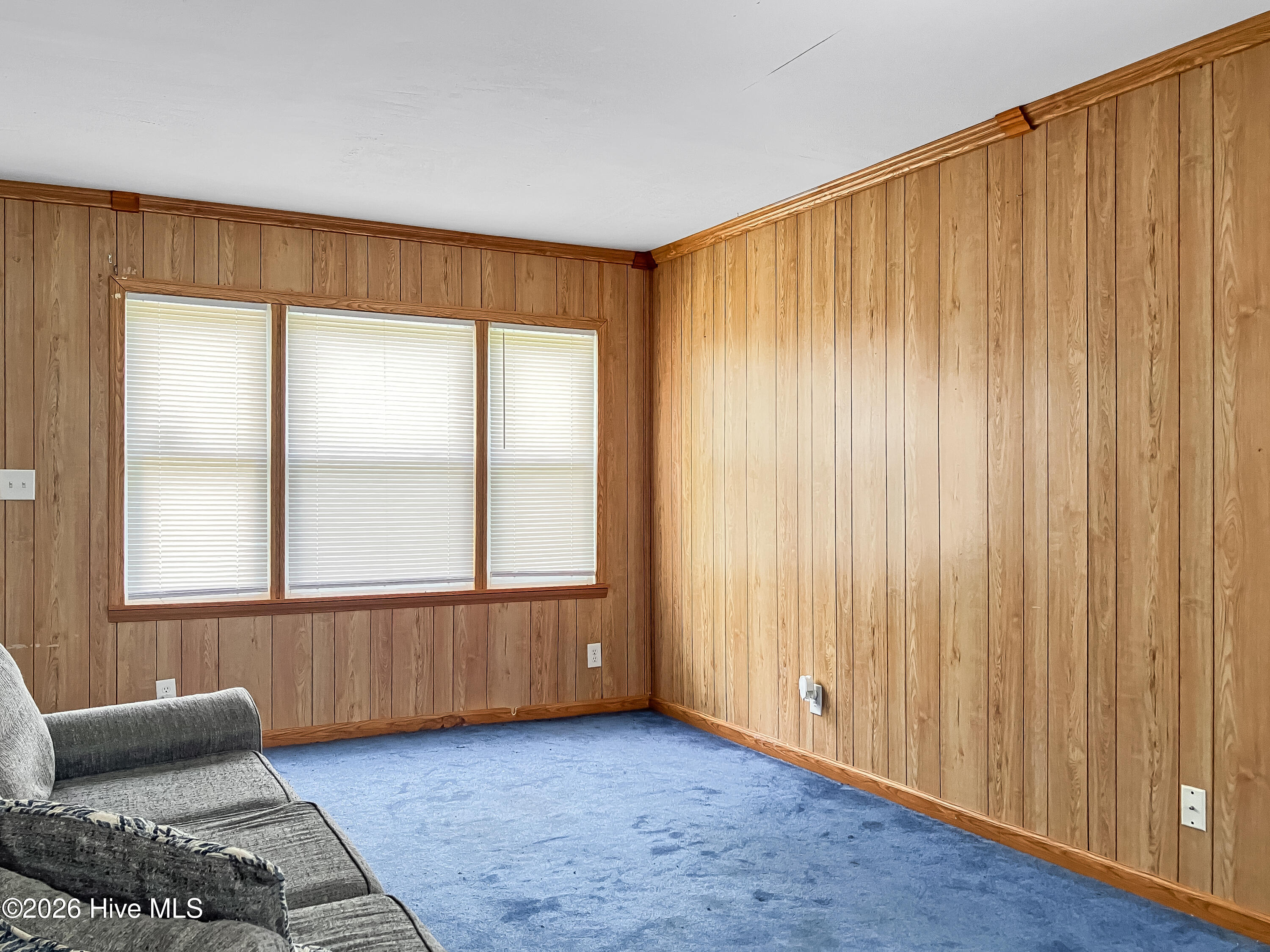3639 Ga Highway 88 Property Photo 4