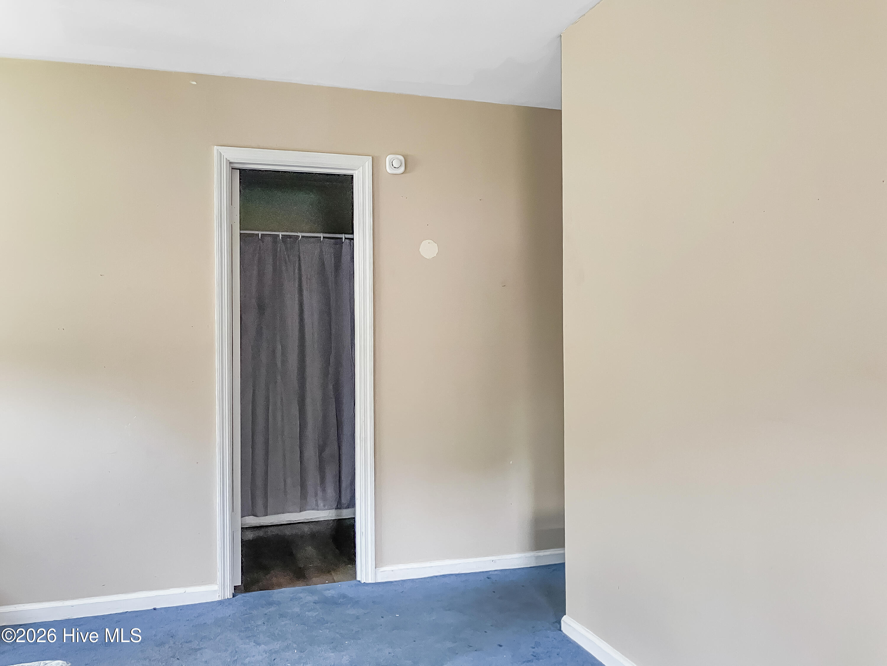 3639 Ga Highway 88 Property Photo 6