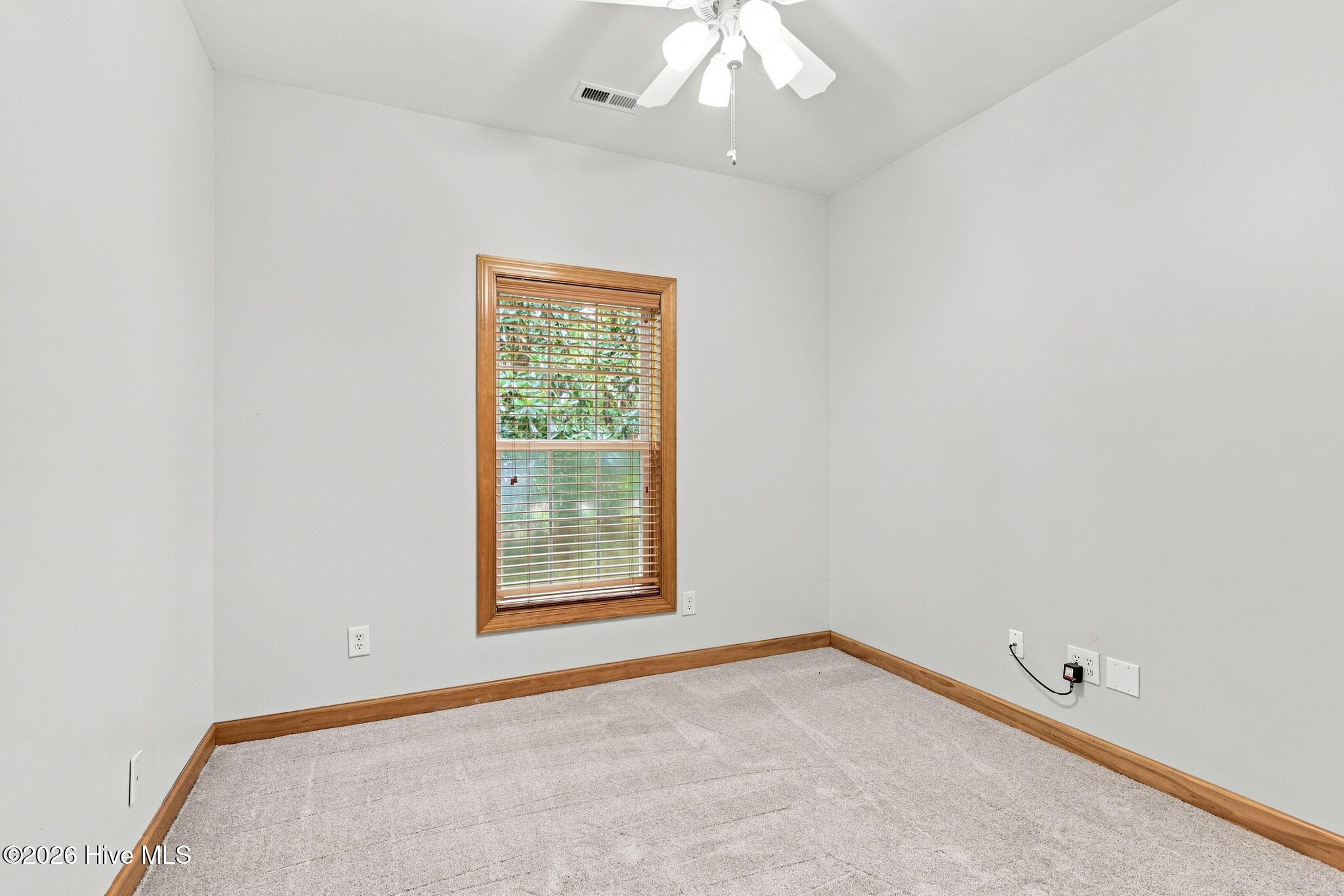 311 Winding Woods Way Property Photo 35