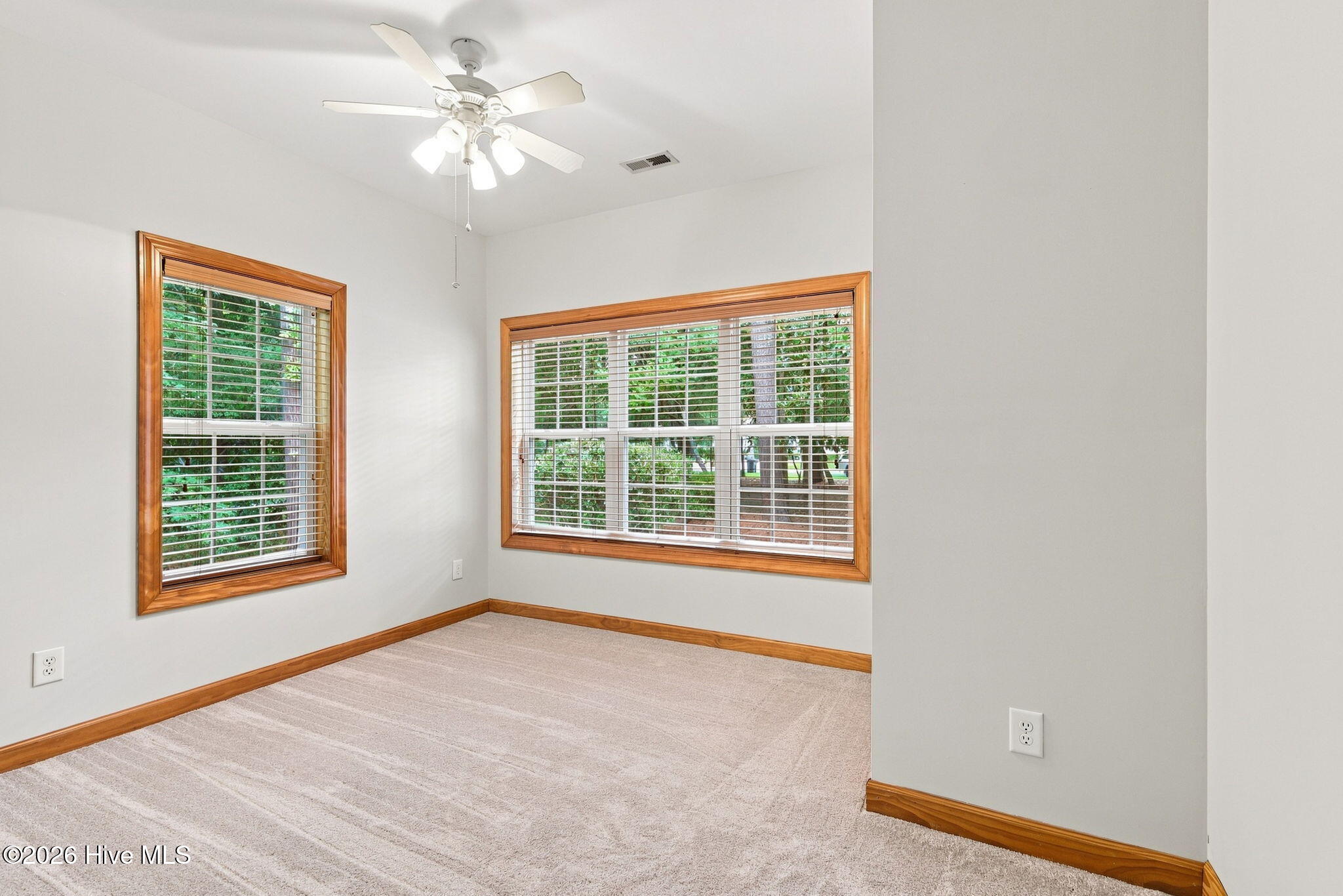 311 Winding Woods Way Property Photo 37