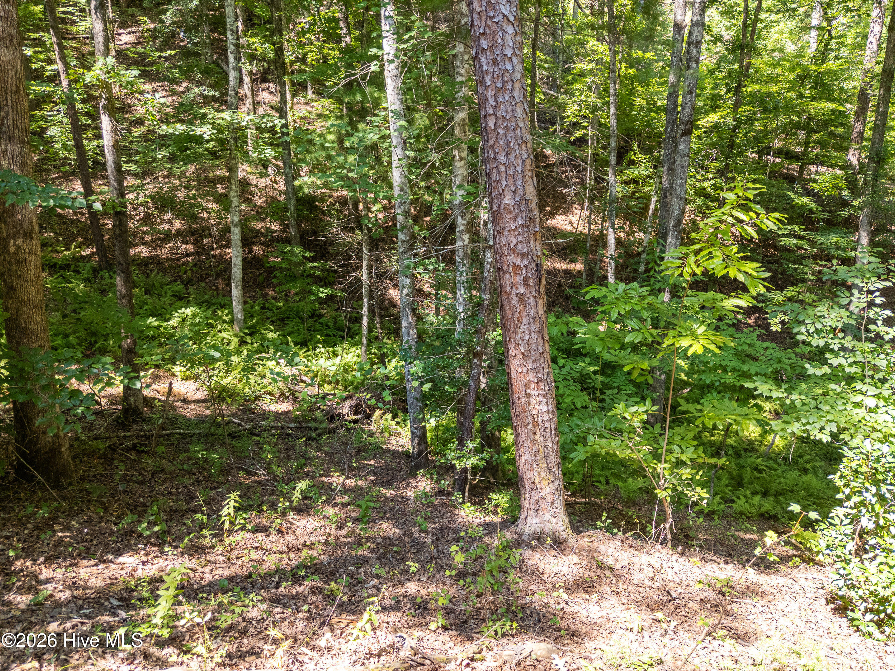 132 Lanes Way Property Photo 33