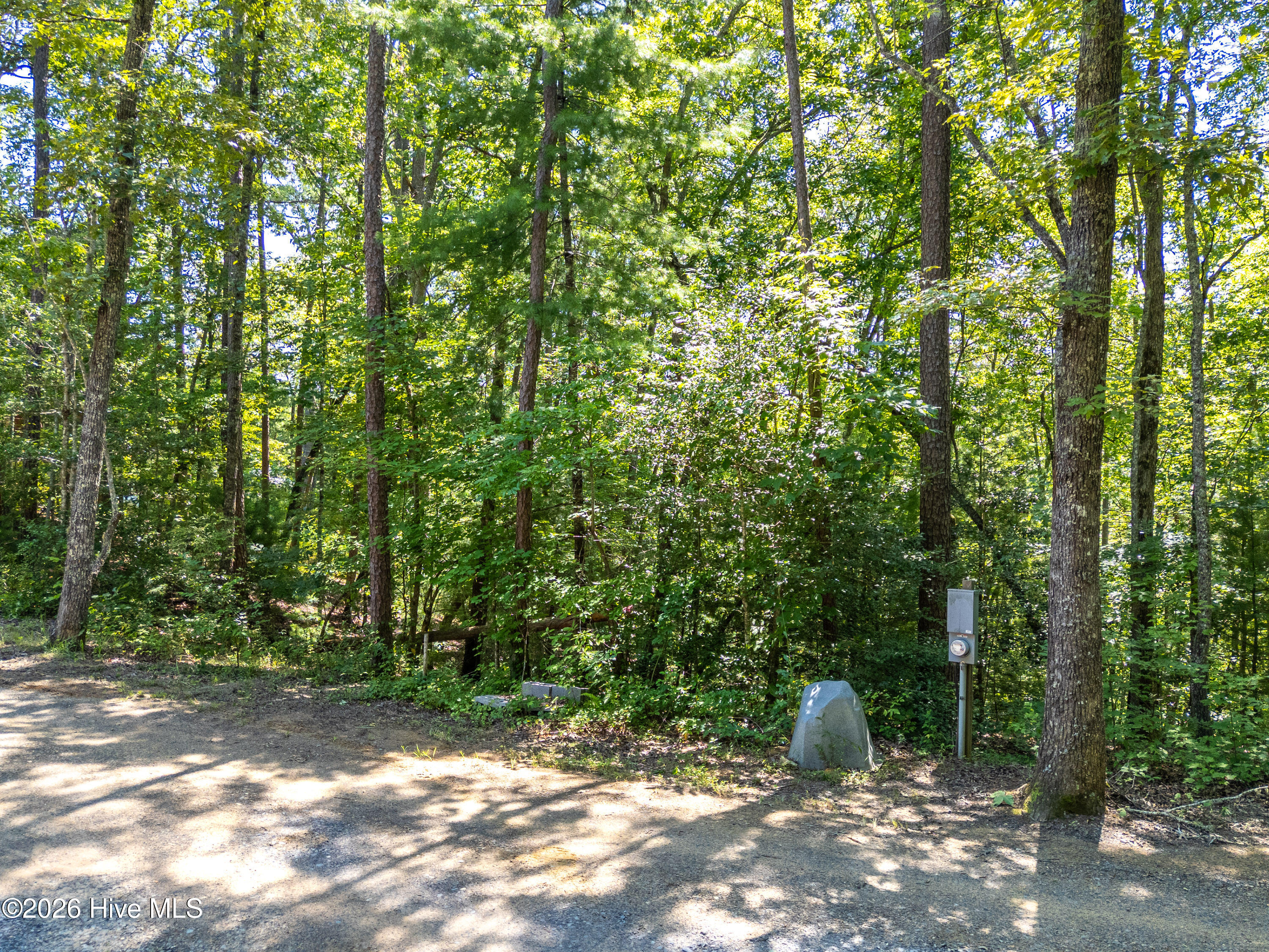132 Lanes Way Property Photo 42