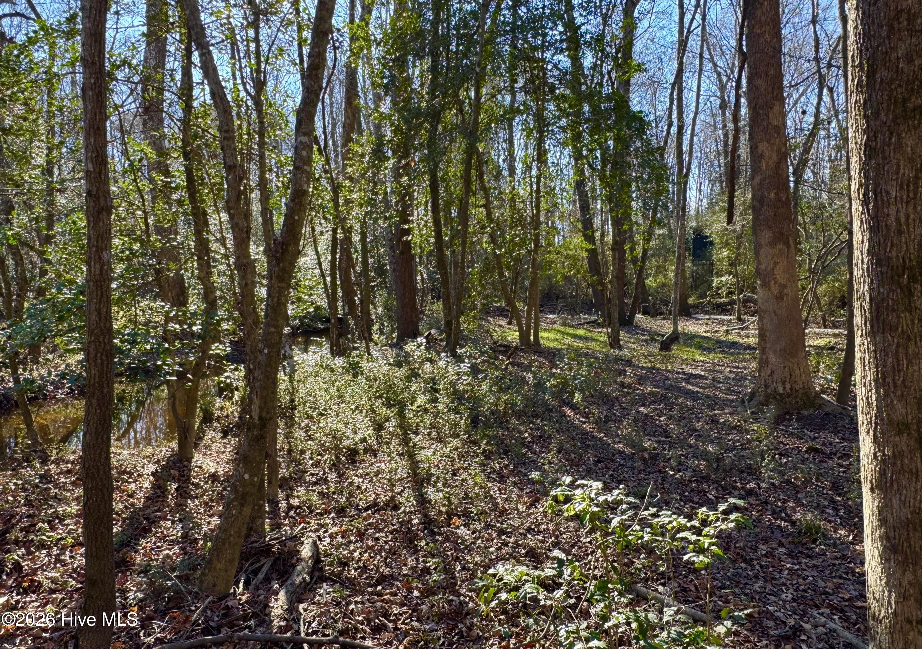 0 Fred Circle S Property Photo 4
