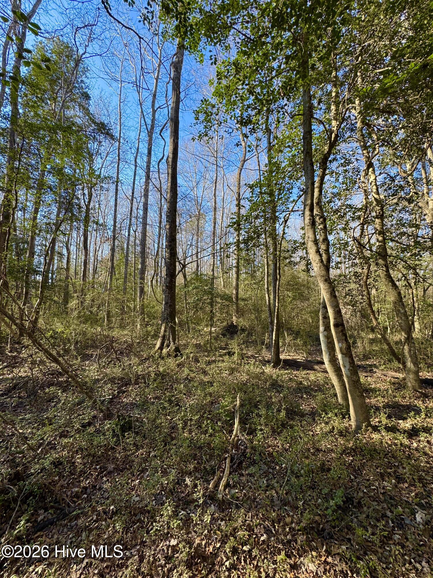 0 Fred Circle S Property Photo 6