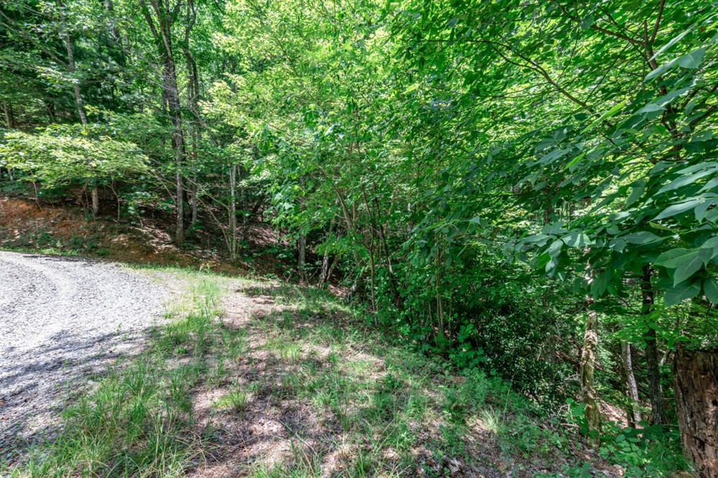 Lot 56 56 Indian Rock Springs Property Photo 6