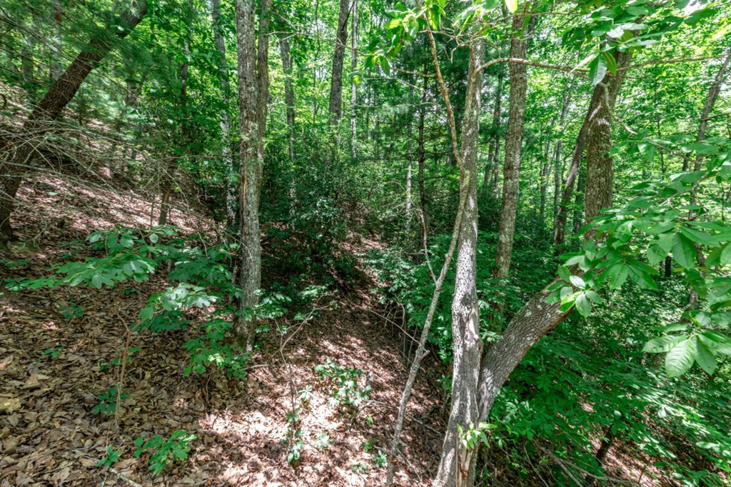 Lot 56 56 Indian Rock Springs Property Photo 7