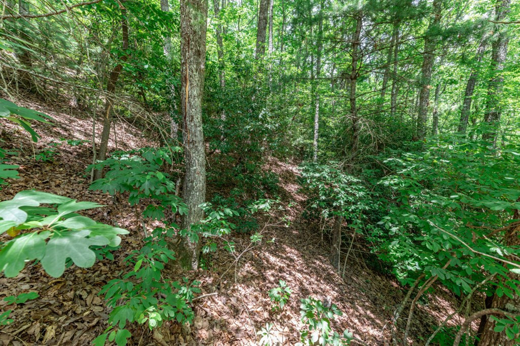 Lot 56 56 Indian Rock Springs Property Photo 11