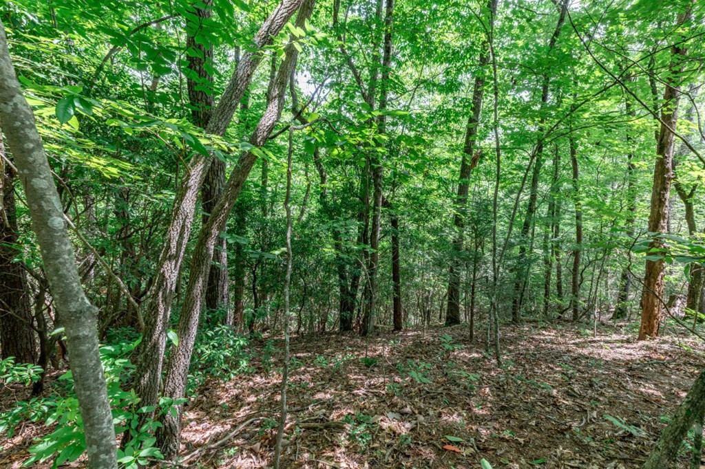 Lot 56 56 Indian Rock Springs Property Photo 18