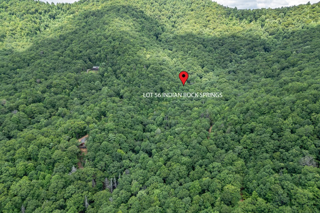 Lot 56 56 Indian Rock Springs Property Photo 21