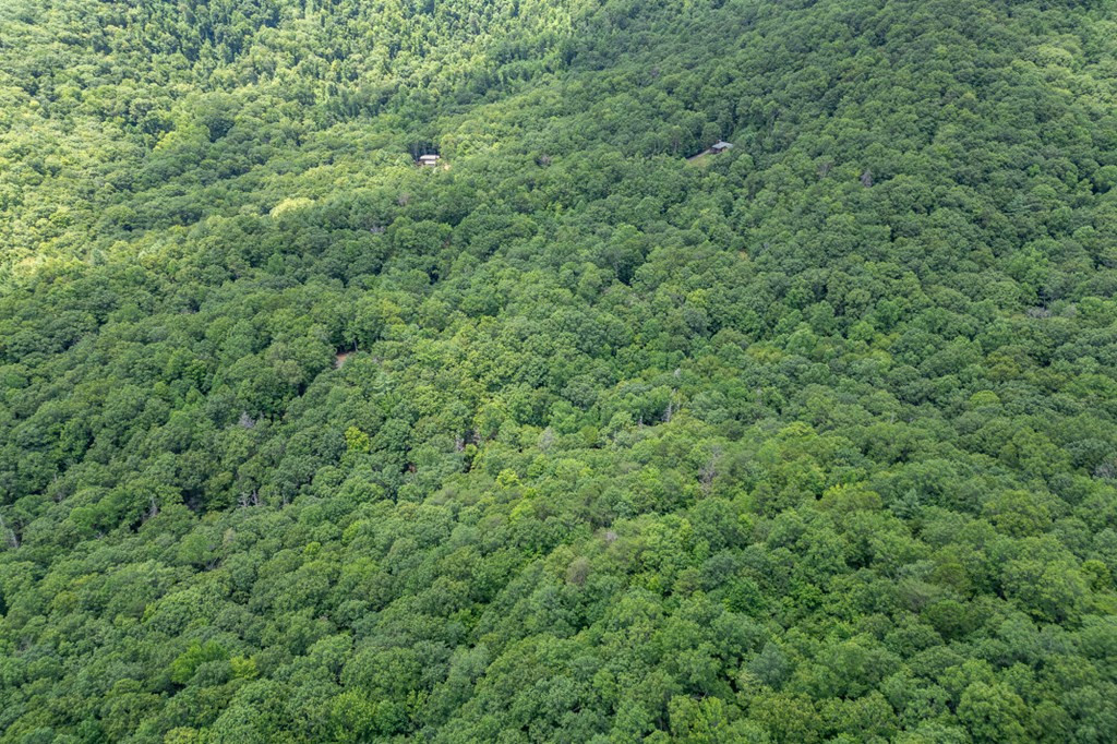 Lot 56 56 Indian Rock Springs Property Photo 23