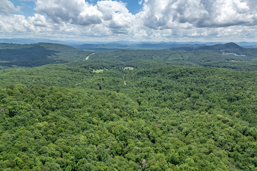 Lot 56 56 Indian Rock Springs Property Photo 25
