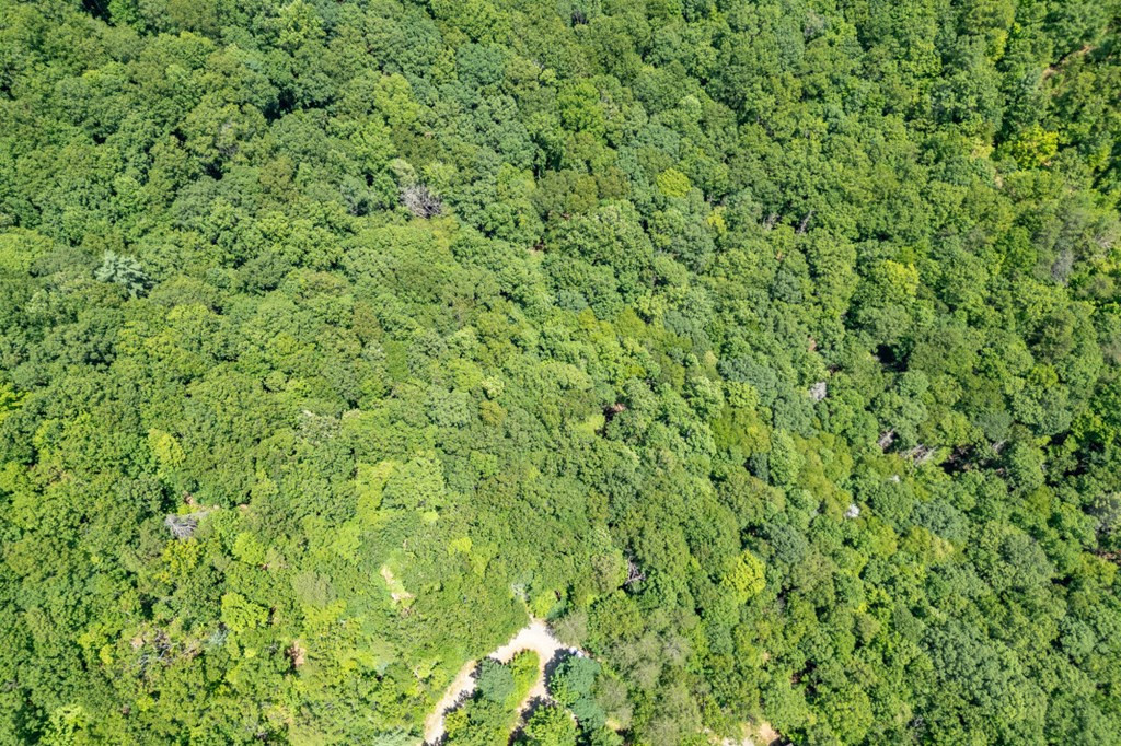Lot 56 56 Indian Rock Springs Property Photo 28