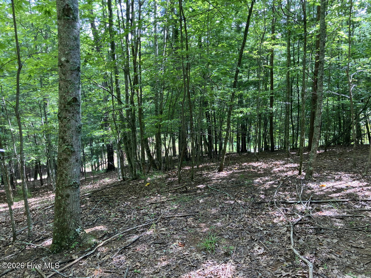 11 11 Green Cove Circle Property Photo 6
