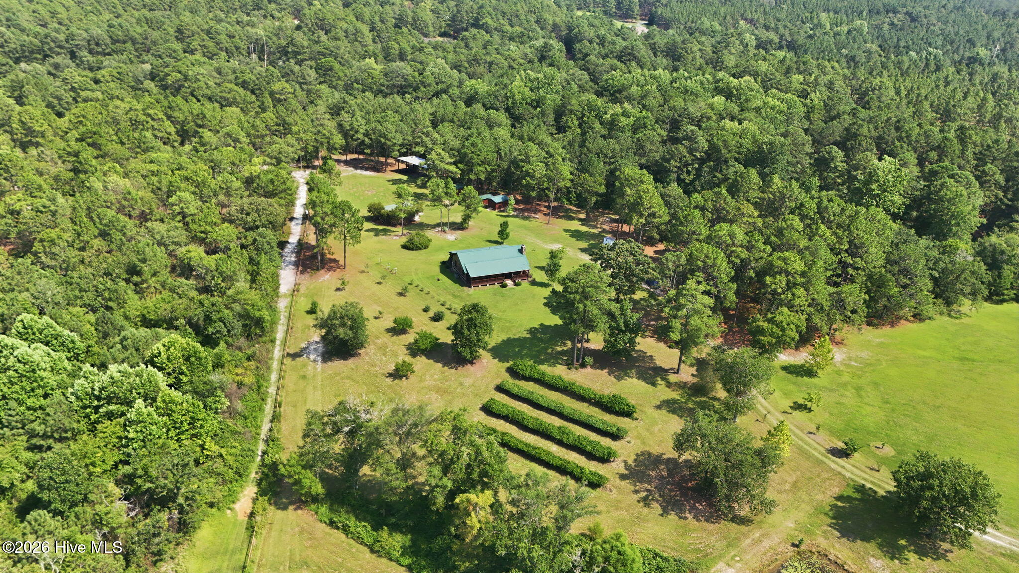 5103 Hillmon Grove Road Property Photo 3