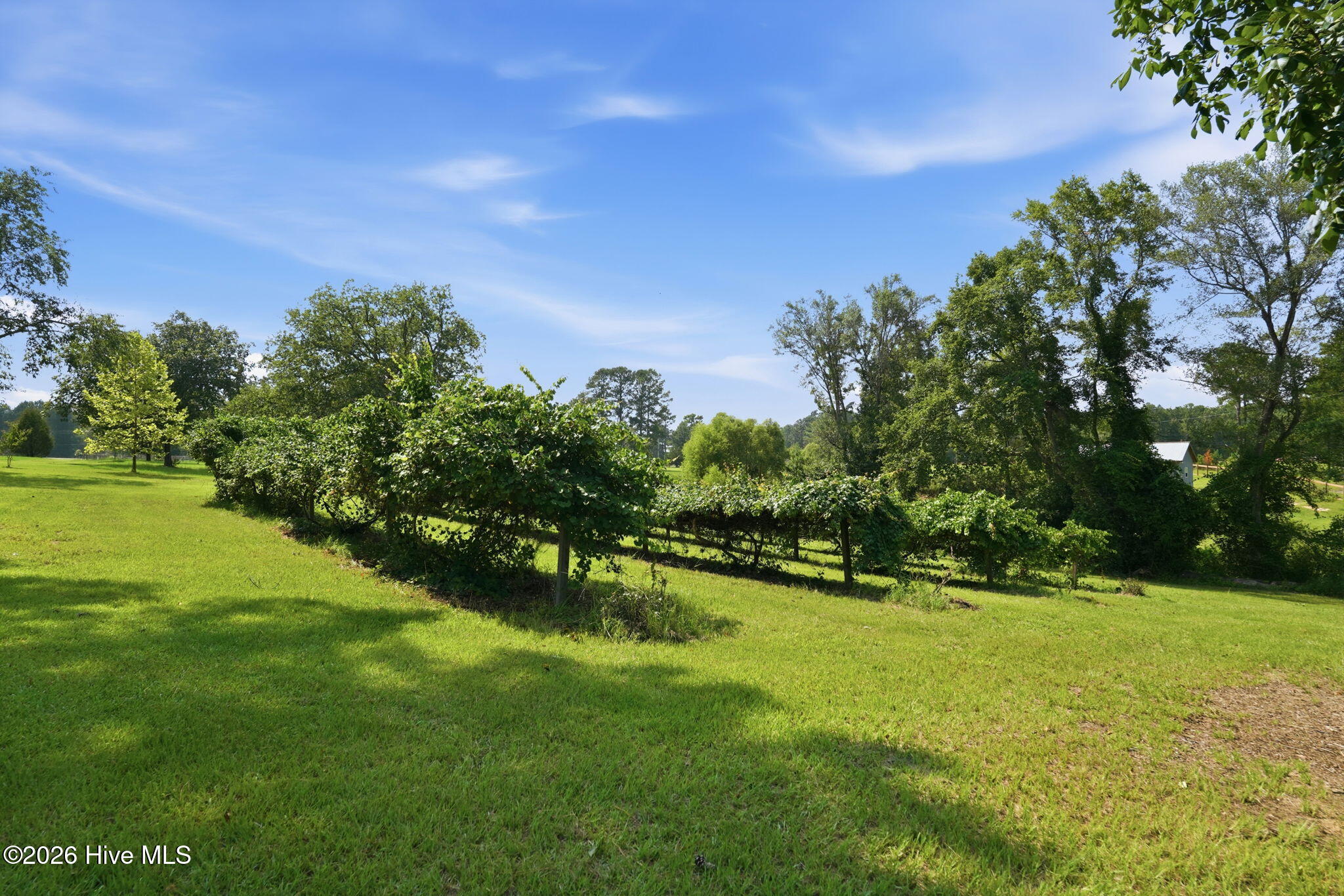 5103 Hillmon Grove Road Property Photo 39