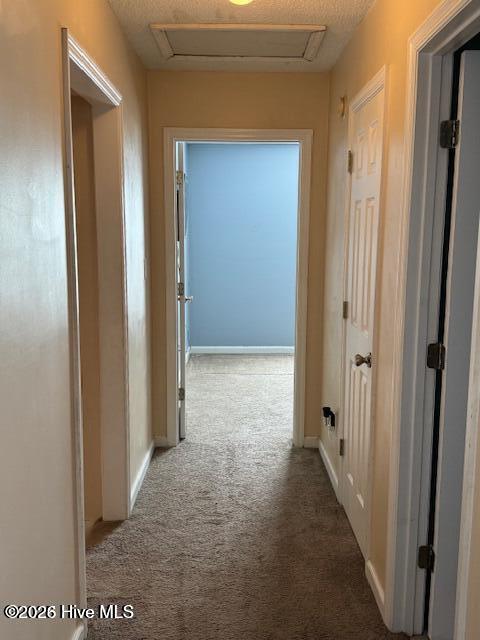 224 Hemlock Drive Property Photo 22