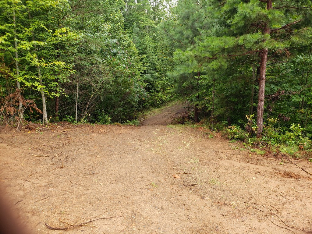 26 Kalanu Trail Property Photo 3