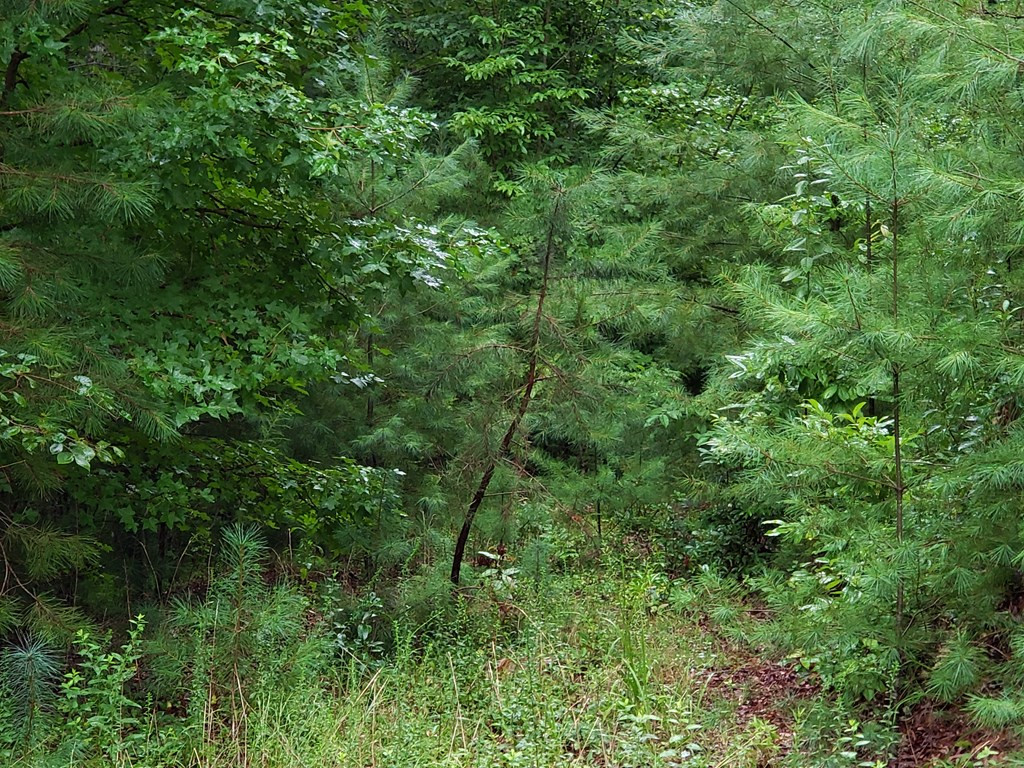 26 Kalanu Trail Property Photo 8